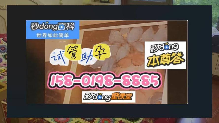 包生试管代怀【包生试管代怀:新生命的希望】