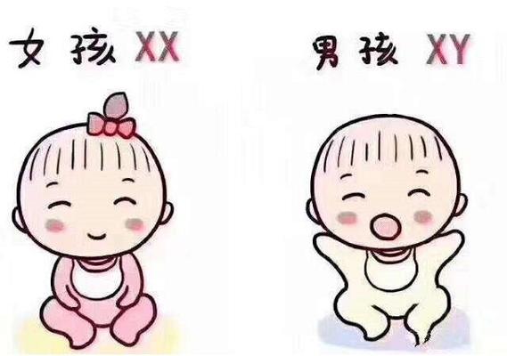 深圳包生男孩-深圳包生男孩:家庭的新希望