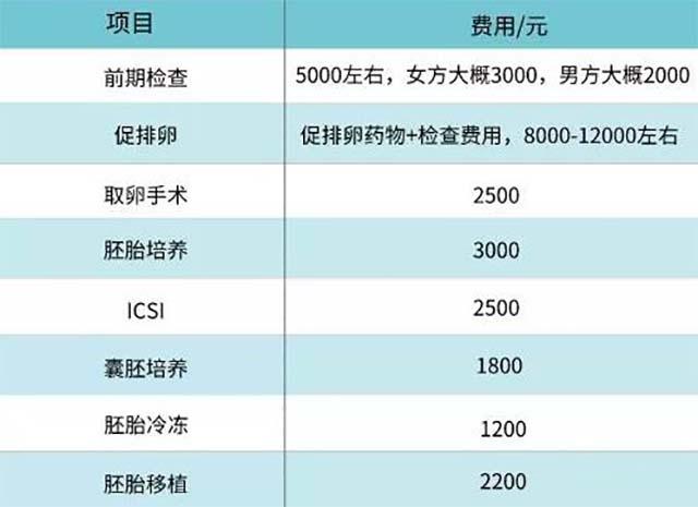 包成功试管代怀孩子要多少费用(试管代怀孩子费用一览)