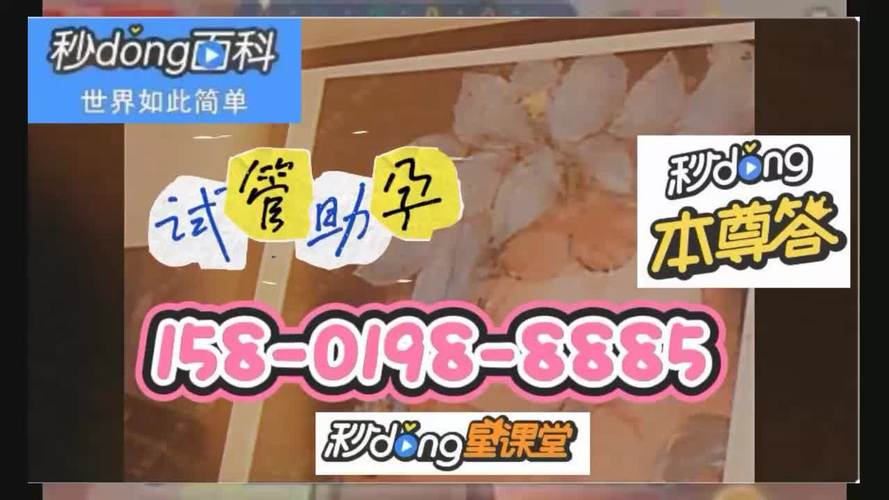 国内供卵试管代怀哪家好(国内供卵试管代怀哪家好?选择最佳试管代孕机构攻略)