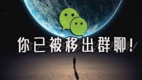 包生男孩微信交流群【包生男孩微信交流群,共话成长路】