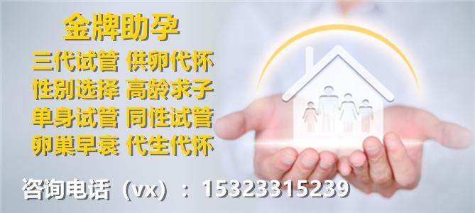 包生男孩全包费用【男孩全包费用,一站式服务】